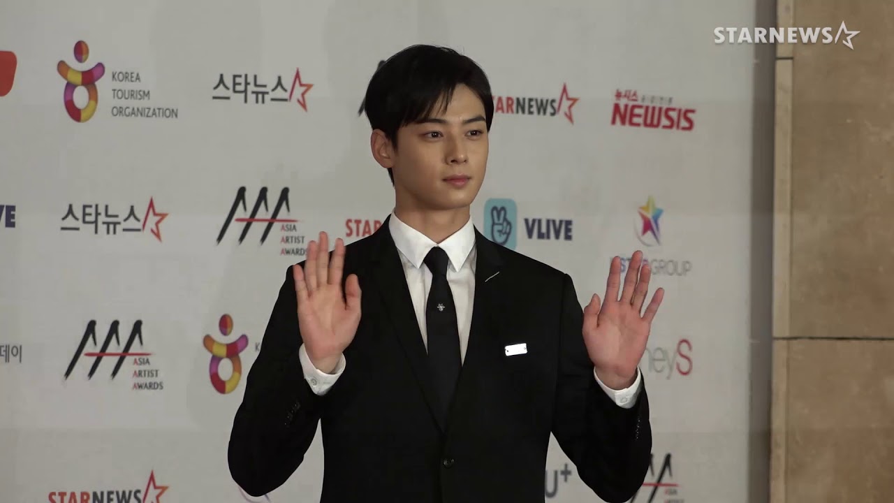 2018 AAA 차은우(CHA EUNWOO)  레드카펫 미리보기