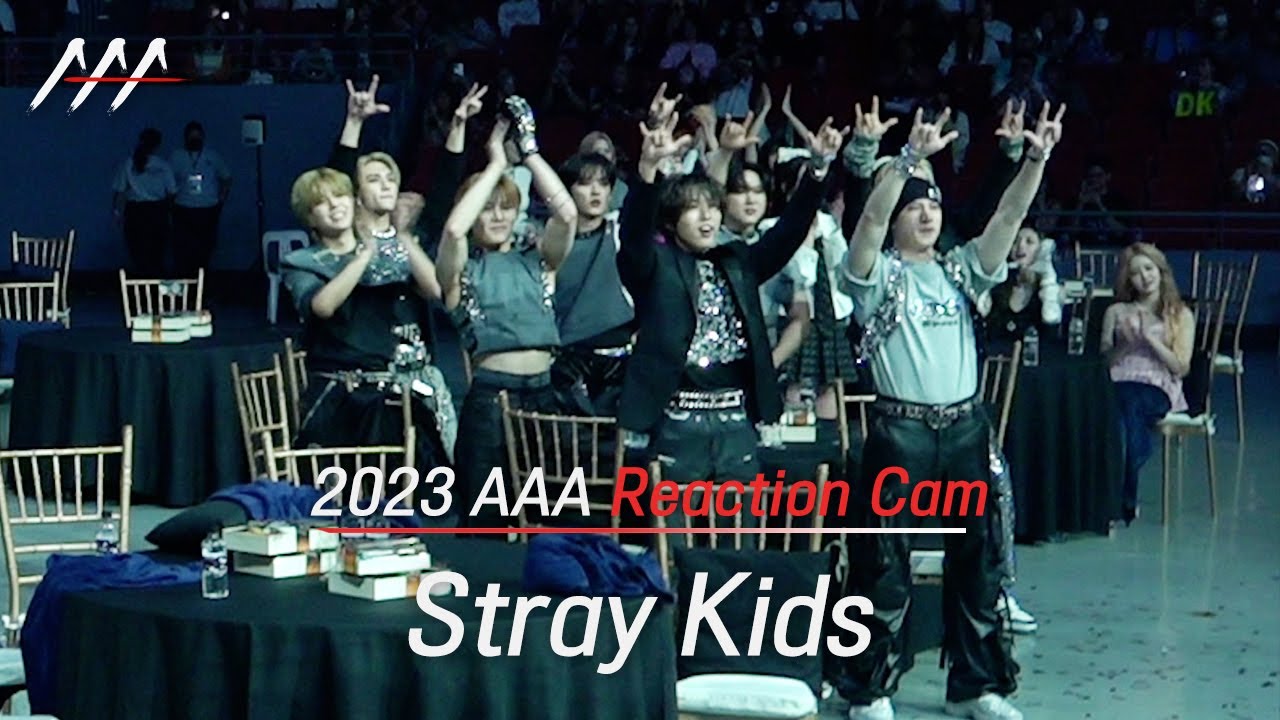 [#AAA2023] StrayKids 2023 Asia Artist Awards Reaction Cam (스트레이키즈 리액션캠) 미리보기