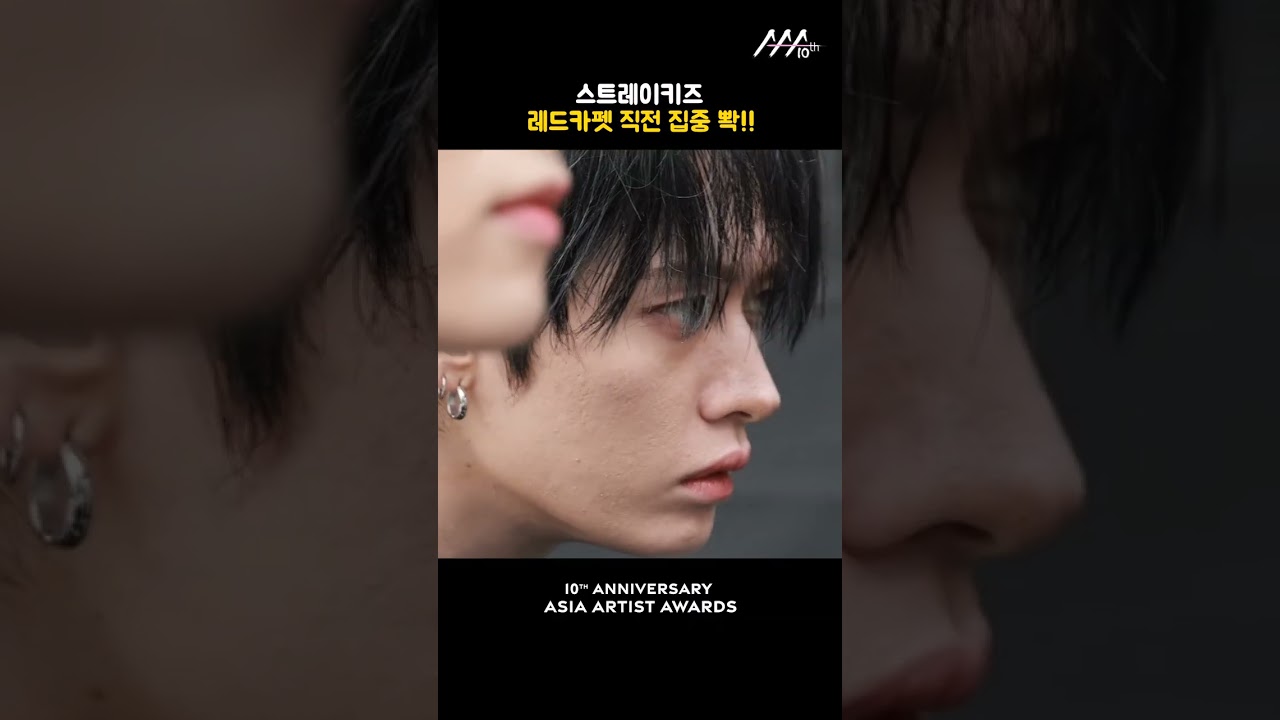 스트레이키즈, 레드카펫 직전 집중 뽝!! 미리보기