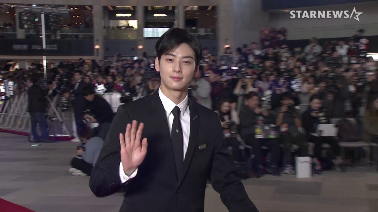 ★ 차은우 (CHA EUN WOO) 미공개 수상소감 및 레드카펫 2018AAA ★ 미리보기
