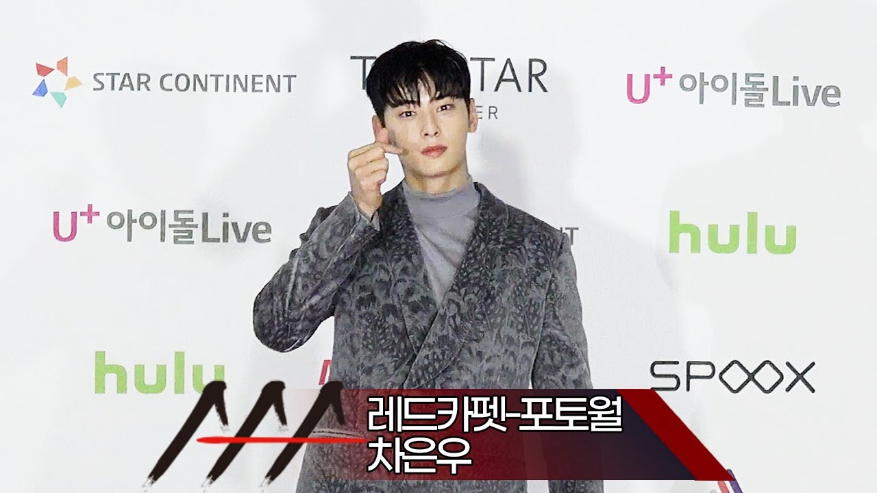 [Red Carpet] 2021 AAA '차은우(Cha Eunwoo)' 레드카펫-포토월 (2021 Asia Artist Awards 아시아 아티스트 어워즈) 미리보기